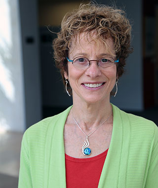 Deborah Stone, Distinguished Visiting Professor