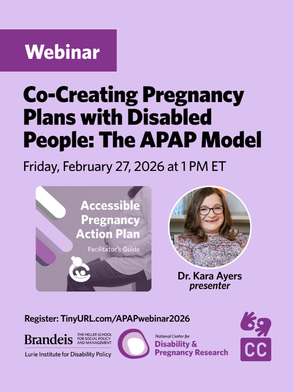 Co-Creating Pregnancy Plans with Disabled People: The APAP Model