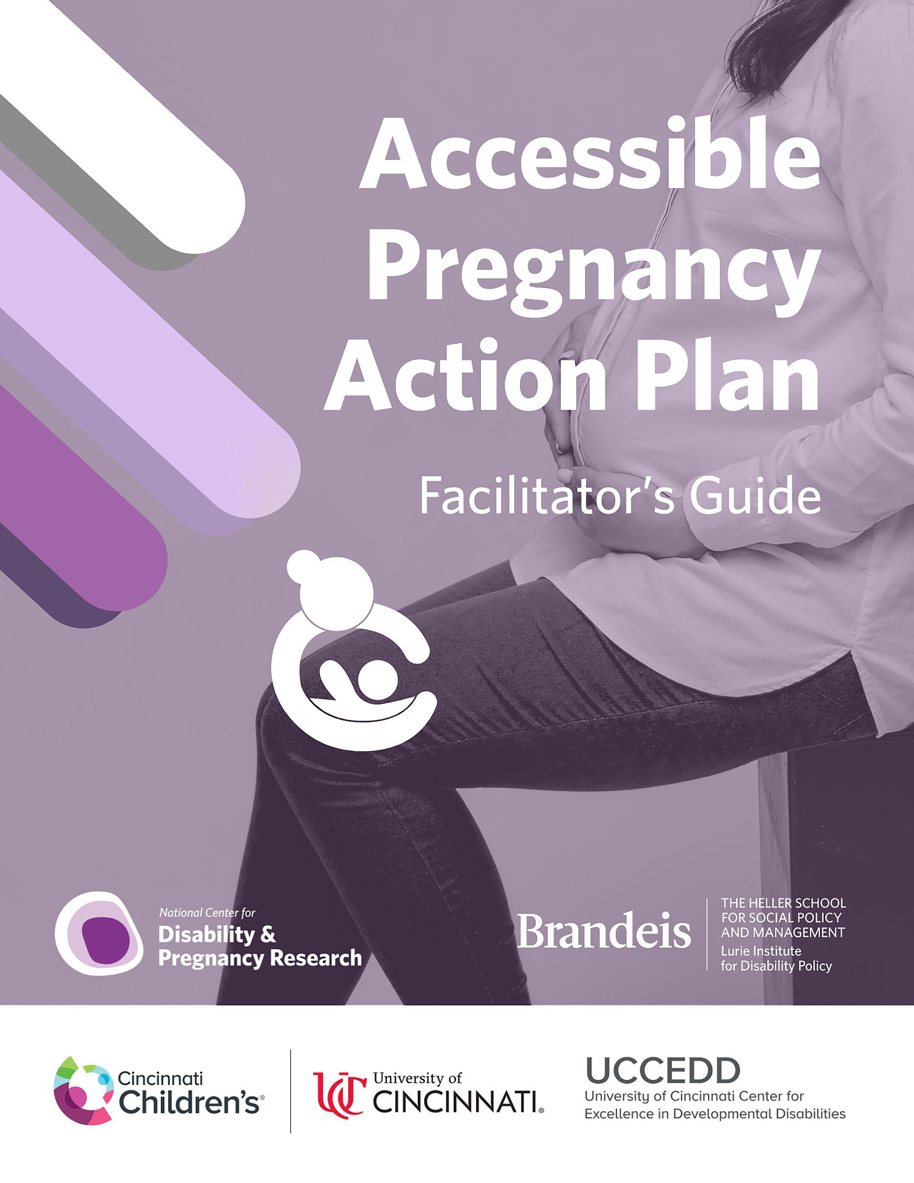 Accessible Pregnancy Action Plan: Facilitator’s Guide