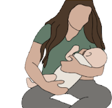 Showing the Cradle Hold Position for Breastfeeding