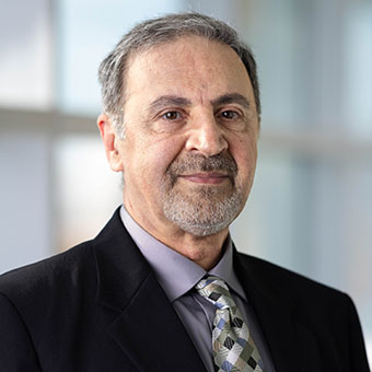 Nader Habibi, Professor