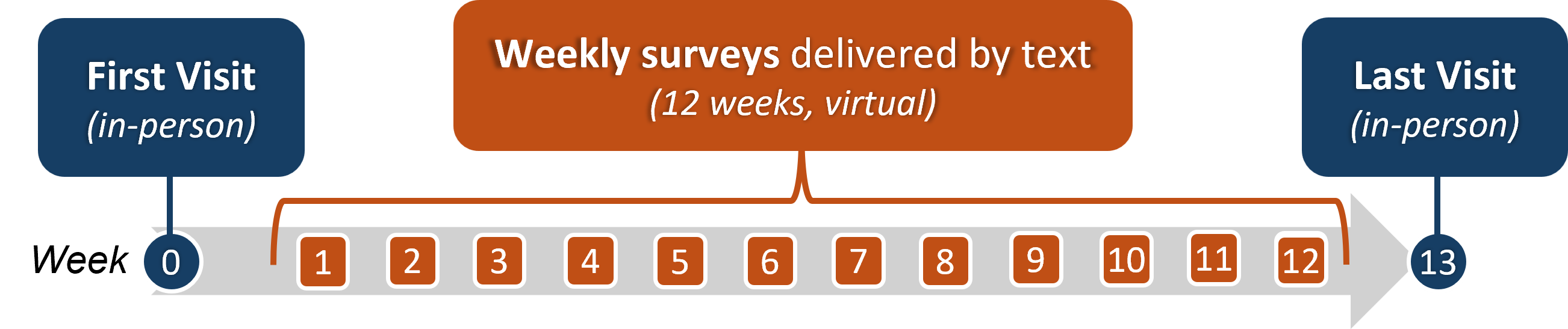 the study timeline: first visit (in-person) in week "0," weekly surveys delivered by text (12 weeks, virtual) from week 1 to week 12, and last visit (in-person) in week 13