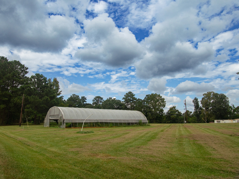 a photograph of a greenhouse in the middle of large farmland