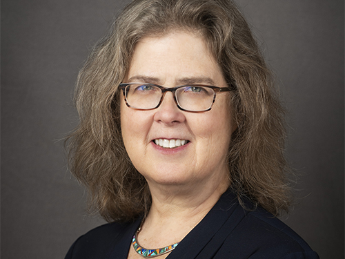 Karen Donelan, Stuart H. Altman Chair in U.S. Health Policy