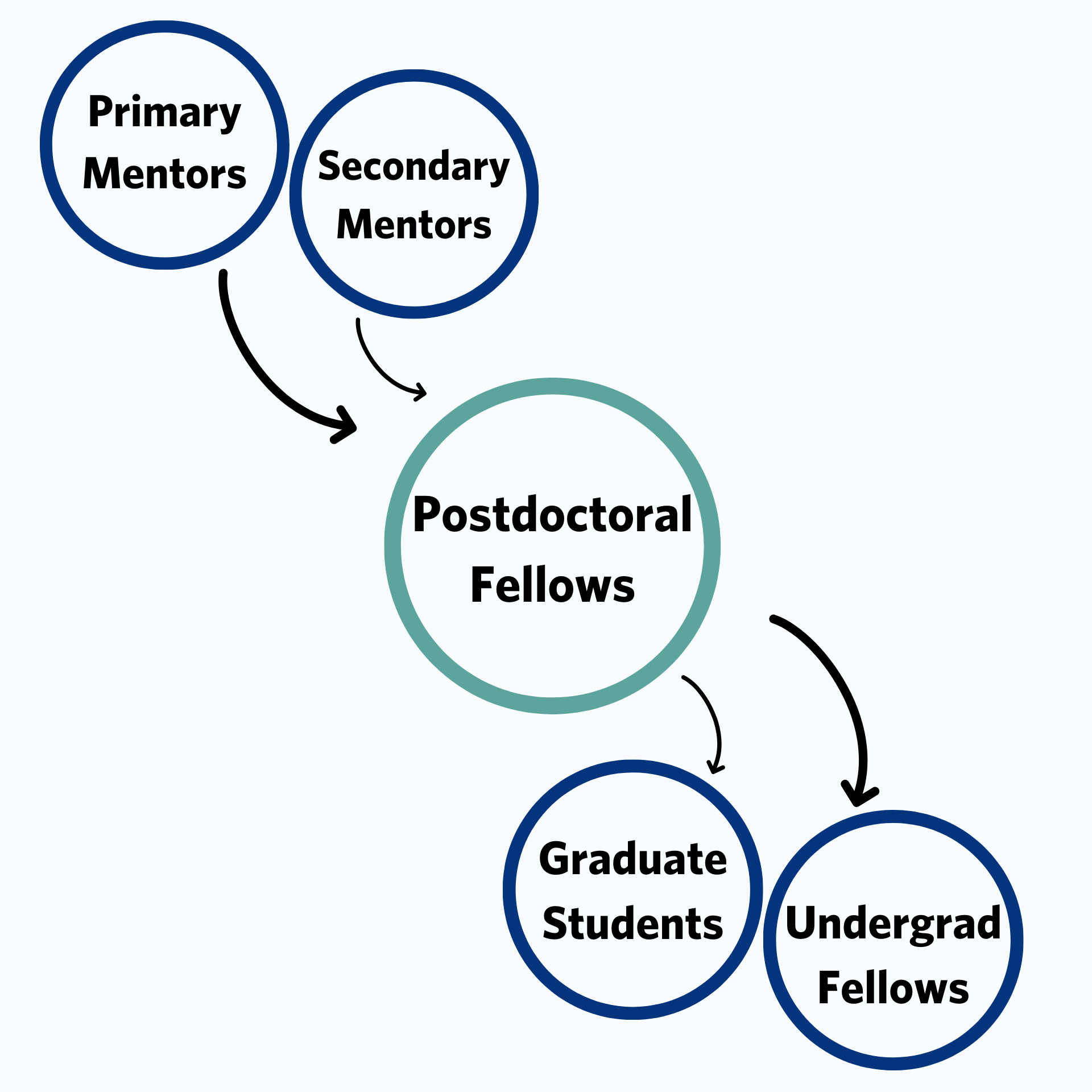 Visual illustrating Primary and secondary mentors pointing to the postdoctoral fellows and postdoctoral fellows pointing to graduate students and undergrad fellows