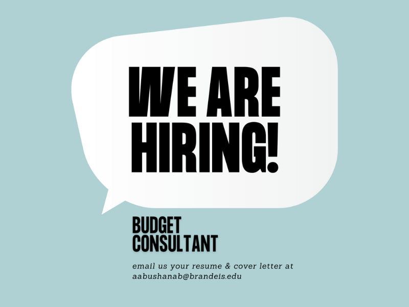 We Are Hiring! Budget Consultant 