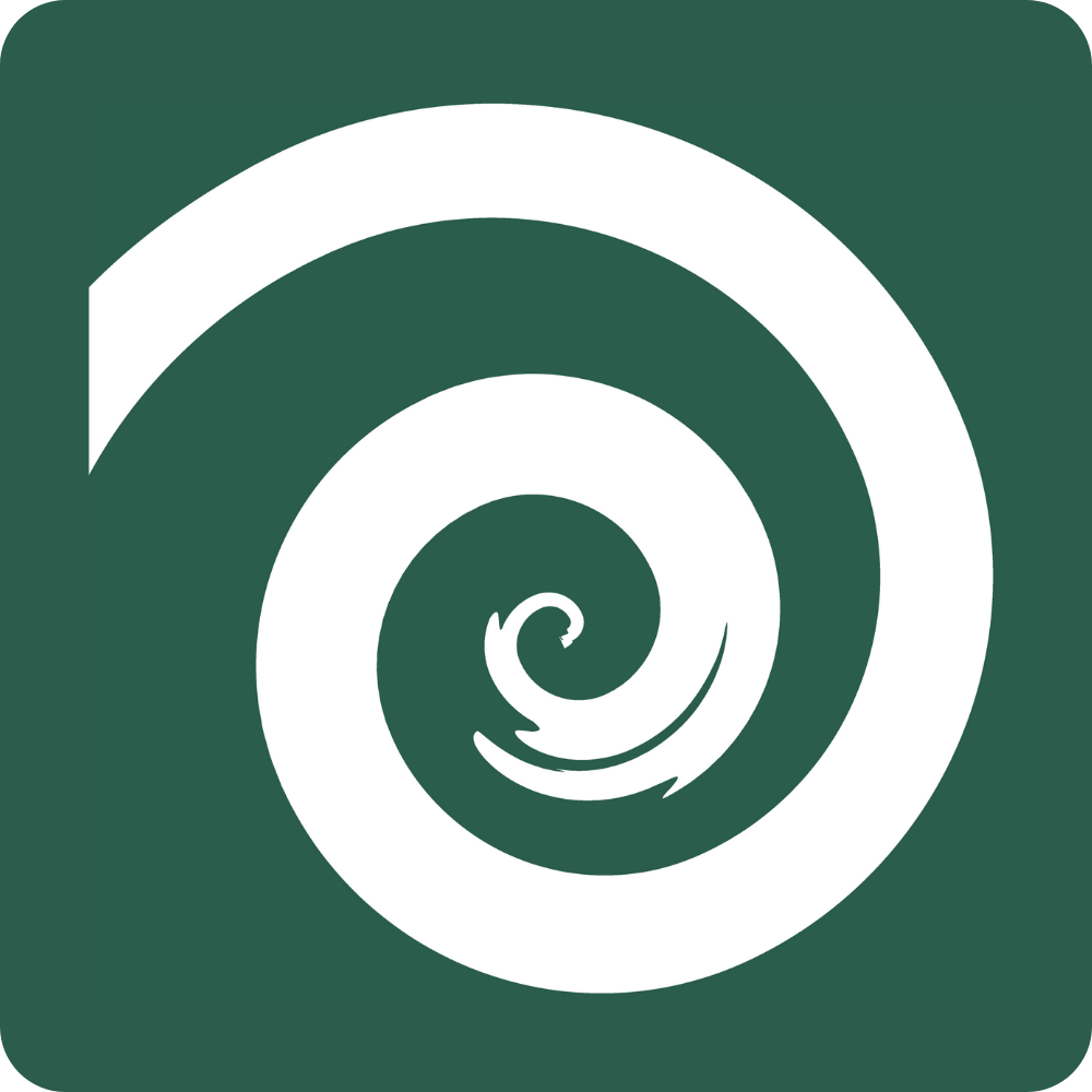 National Research Center for Parents with Disabilities logo