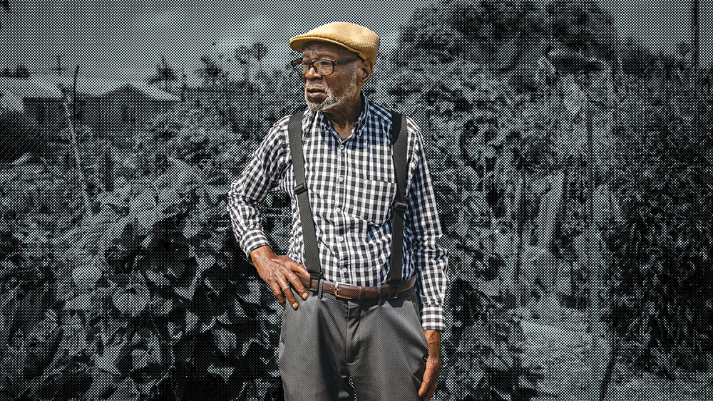 Graphic of older man standing outside in front of tall plants