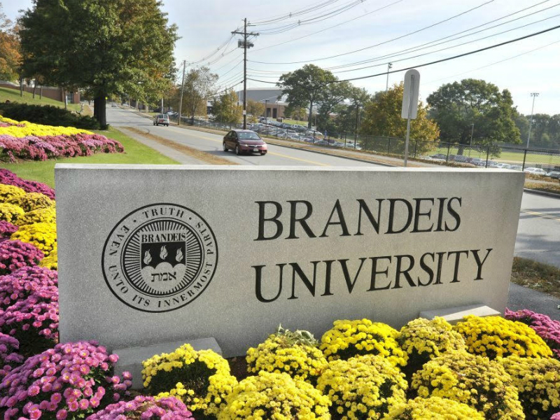 Student Workers at Brandeis Get Their First Labor Contract