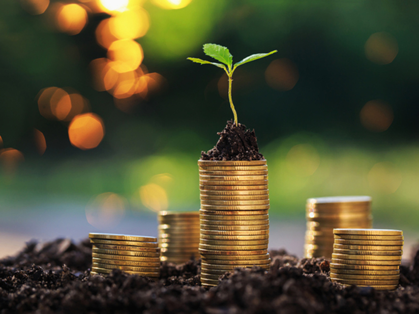 Stock photo of a plant sprouting from a pile of coins