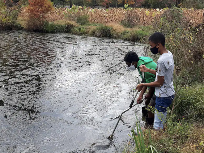 Two Black boys in face masks investigate mussels and other aquatic life in a river.