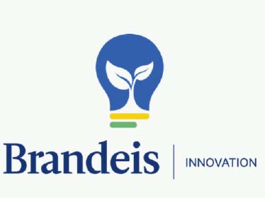 graphic icon of lightbulb with leaf inside alongside the words "Brandeis Innovation"