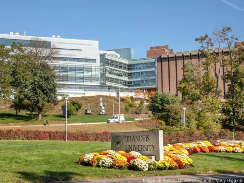 Brandeis University in Waltham offers executive education classes through its Heller School for Social Policy and Management