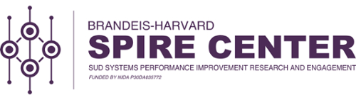 Brandeis-Harvard NIDA Center logo