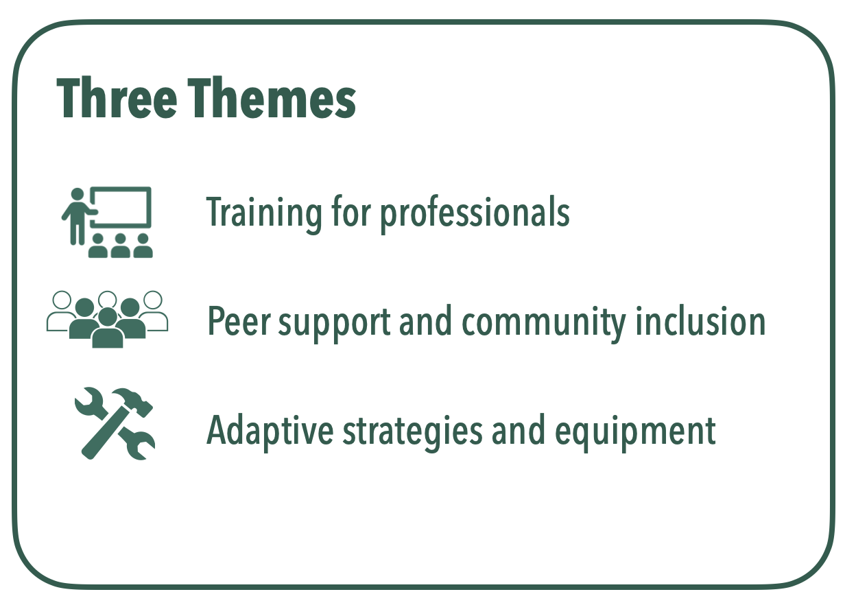 Three themes: training for professionals, peer support and community, adaptive strategies and equipment.  