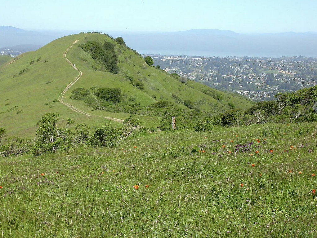 Inspiration Point in Tilden Park