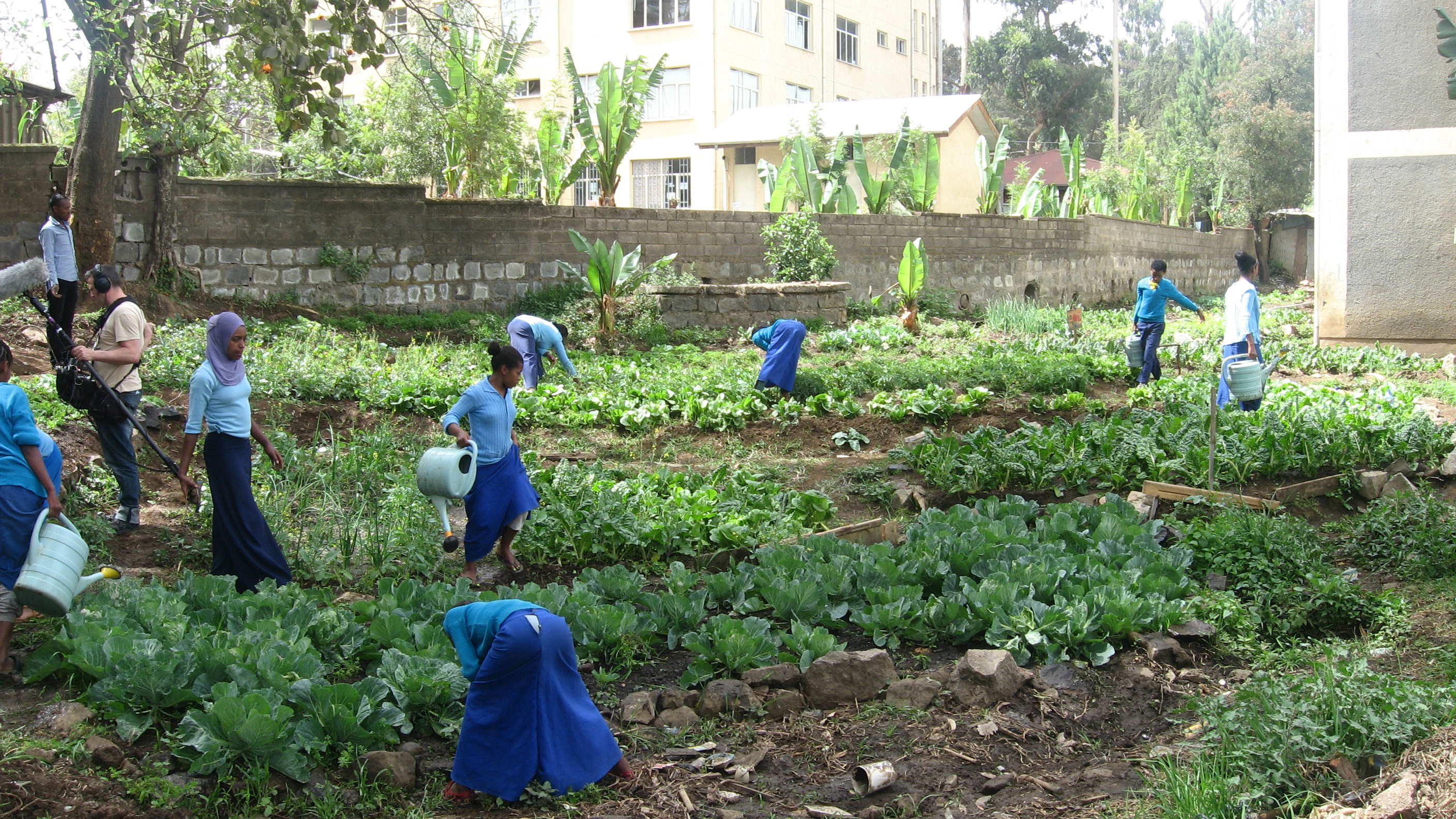 Students working at Meskerem School garden in Ethiopia