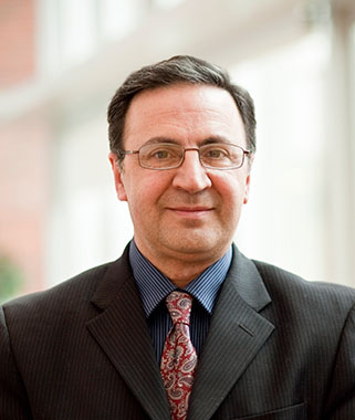 Nader Habibi, Professor