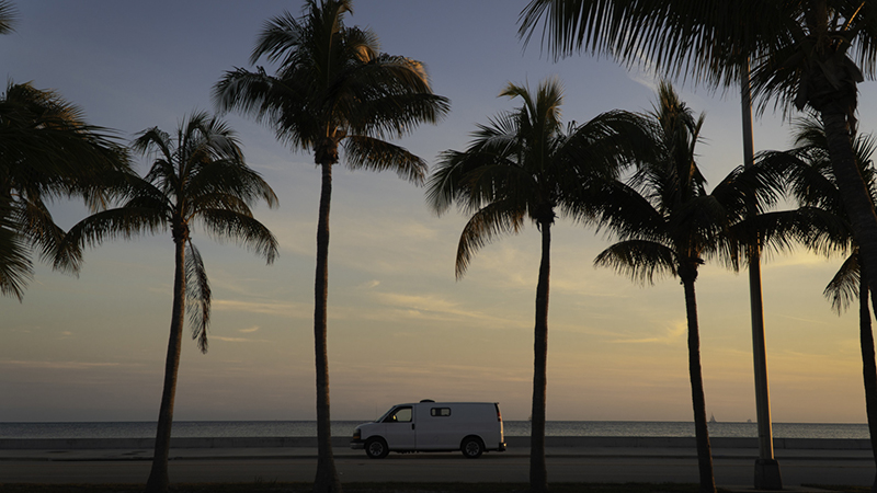 A white van among palm trees